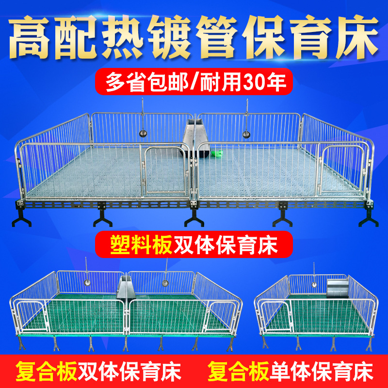 仔猪保育床|高配热镀猪复合板|保育栏|母猪产床|定位栏|养殖场养猪设备