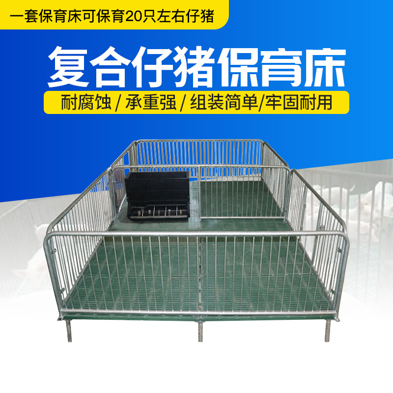 复合仔猪保育床|母猪产床|母猪定位栏厂家批发