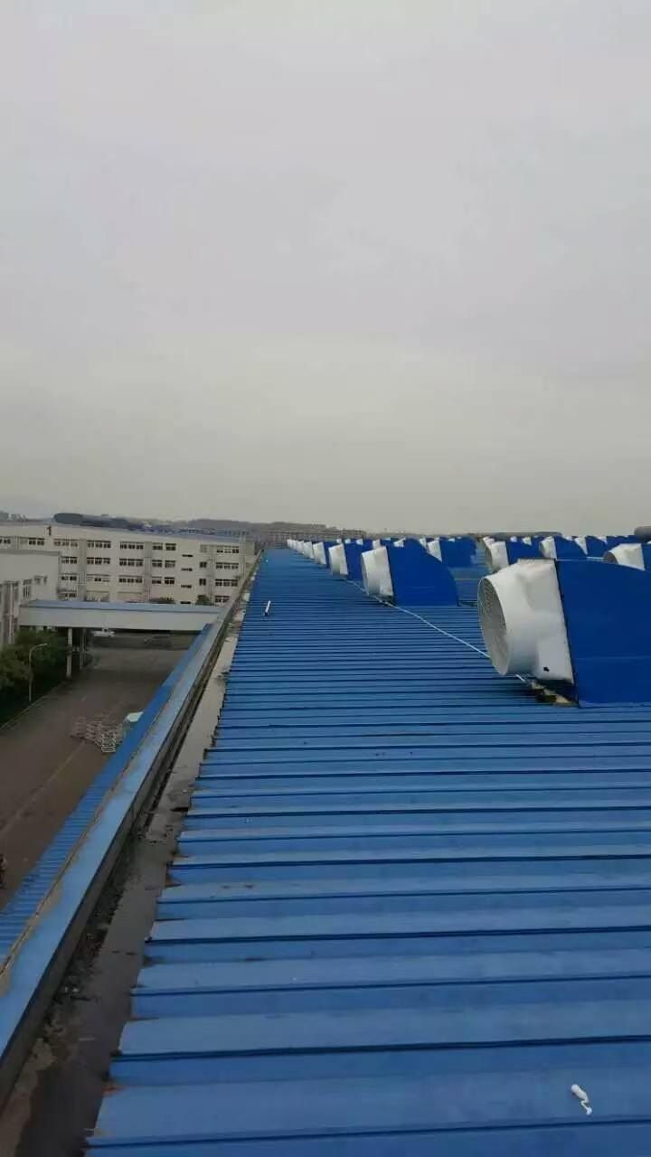 屋顶负压风机